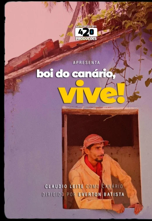 Boi do canário, Vive!